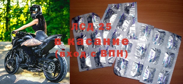 прущие грибы Щигры