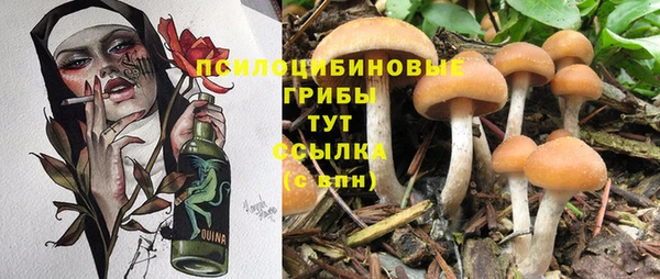 каннабис Шарыпово