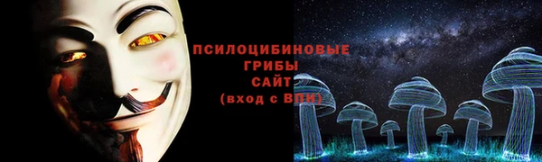 СК Щучье