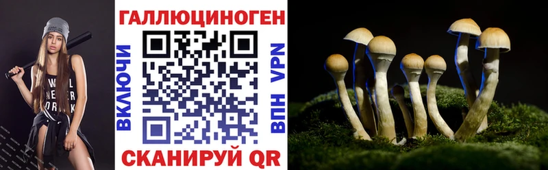 Галлюциногенные грибы прущие грибы  где можно купить наркотик  Белая Холуница 